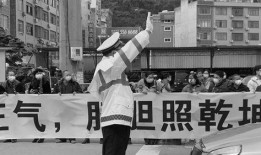 环江欧保尔新闻爆料案例,揭秘事件背后真相