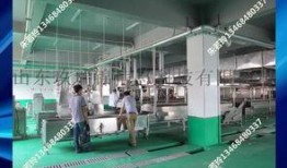 丸子加工爆料视频,揭秘幕后制作过程与细节