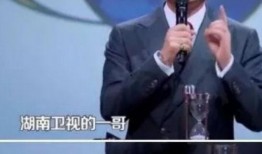 湖南卫视一哥爆料视频,揭秘娱乐圈幕后真相