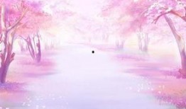 樱花爆料大神是谁呀视频