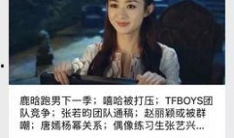 天涯爆料事件视频,事件背后惊人真相曝光