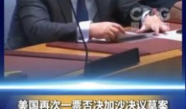 芮城热点爆料新闻视频,最新爆料新闻视频聚焦事件回顾