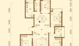 联邦祥云国际最新爆料,揭秘神秘项目背后的惊人真相