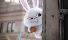 娱乐吃瓜小兔子小说,小兔子吃瓜记