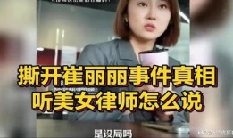 美女律师在线观看,在线揭秘法庭风云