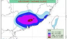 台风爆料最新情况,揭秘‘台风爆料最新情况！”