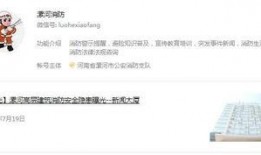 漯河爆料新闻事件视频,惊曝真相，揭秘背后惊人内幕