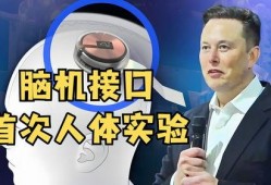 马斯克最近爆料新闻视频,揭秘科技巨头背后的惊人真相！