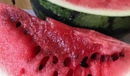 山南以北的瓜最新爆料,揭秘瓜王争霸背后的秘密