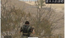 端游吃鸡最新爆料,神秘武器登场，战场格局再起风云