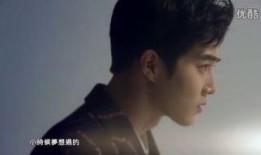 章叔星星被前任爆料视频,真相与争议交织