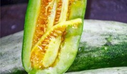 免费吃网红瓜最新,免费品尝背后的秘密与诱惑