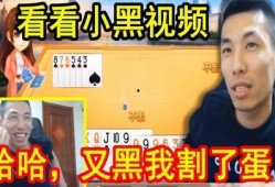 小黑爆料搞笑视频合集在线观看,笑点满满，在线观看