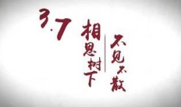 天涯最新爆料2017,揭秘当年热点事件背后的真相