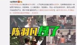 章叔星星被前任爆料视频,真相与争议交织