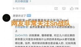 s10训练赛最新爆料,神秘阵容崛起，巅峰对决一触即发！