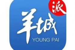 小样爆料视频,一窥幕后真相
