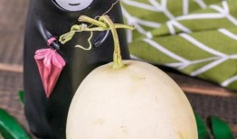 免费吃瓜入口怎么找不到,探寻网络神秘现象背后的真相