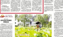 岳阳头条最新爆料,揭秘岳阳某神秘事件真相！