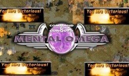 谭雅在线观看,揭秘网络红人的魅力之旅