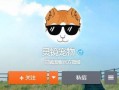 宠物爆料博主视频在线观看,视频背后的真实故事
