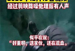 二宁最新爆料事件视频,揭秘事件背后惊人真相