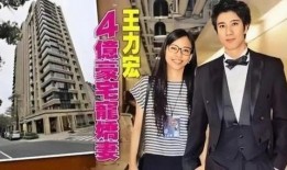 李靓蕾爆料徐静蕾视频,真相背后引人深思