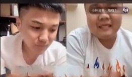 胖子爆料饮料视频播放在线观看,揭秘网红饮品背后的真相