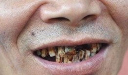 百兽瓶子爆料怎么做视频,视频生成技巧全解析