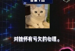 娱乐吃瓜第一期,揭秘娱乐圈幕后故事，带你领略明星真实生活