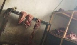 驴肉造假爆料视频,视频曝光惊人内幕
