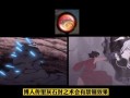 黑土爆料视频,幕后真相大曝光
