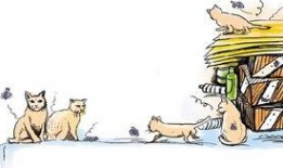 跳蚤在线观看,一场惊心动魄的冒险之旅