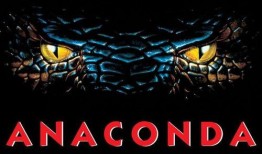 狂蟒之灾爆料视频大全,揭秘惊悚视频大全背后的真实事件