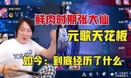 雷诺爆料二小姐期间视频,二小姐神秘视频揭秘