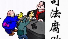 枉法裁判爆料案例视频,视频曝光司法不公案例