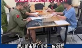 市民大爆料新闻综合,聚焦民生热点，揭示社会现象