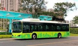 汕头公交爆料事件视频播放,真相与反思