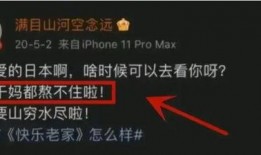 如何看内鬼爆料视频呢,视频背后的真相与启示