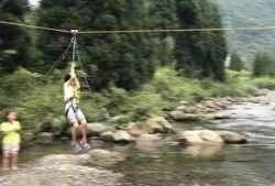 老林爆料知名教练视频,老林独家爆料，健身界风云再起