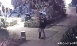 辽源吃瓜爆料事件视频曝光,视频曝光事件真相揭秘