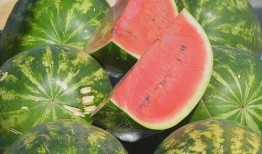 吃瓜网免费官网全球,全球热点一网打尽，畅享无界限的娱乐盛宴