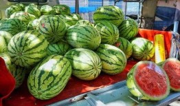 拉萨网红吃瓜事件真相揭秘,真相与误解的交织