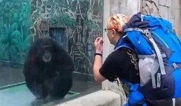 猴哥亲戚爆料视频大全,揭秘猴哥家族背后的故事与趣闻