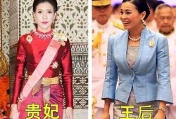 泰国王室最新爆料王后,揭秘王后神秘过往与王室权力斗争