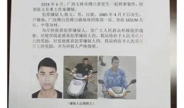 玉山网友爆料案件最新消息,案情再掀波澜，真相逐渐浮出水面