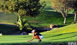 导演美国豪宅被爆料视频,奢华生活背后的争议与反思