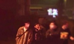 蛇叔爆料视频大全最新,揭秘娱乐圈幕后真相