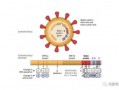新冠病毒变异最新爆料