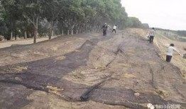 狮子山爆料视频大全集最新,揭秘幕后真相，带你走进事件核心